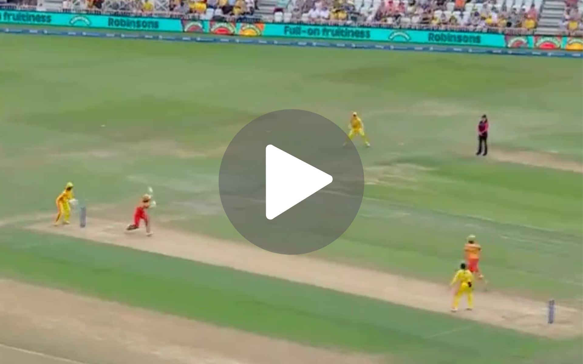 [Watch] Ellyse Perry Shimmies Down To Alana King To Complete Fifty With A Banger Six